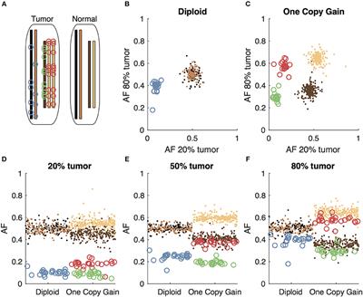 Leveraging Spatial Variation in Tumor Purity for Improved Somatic Variant Calling of Archival Tumor Only Samples